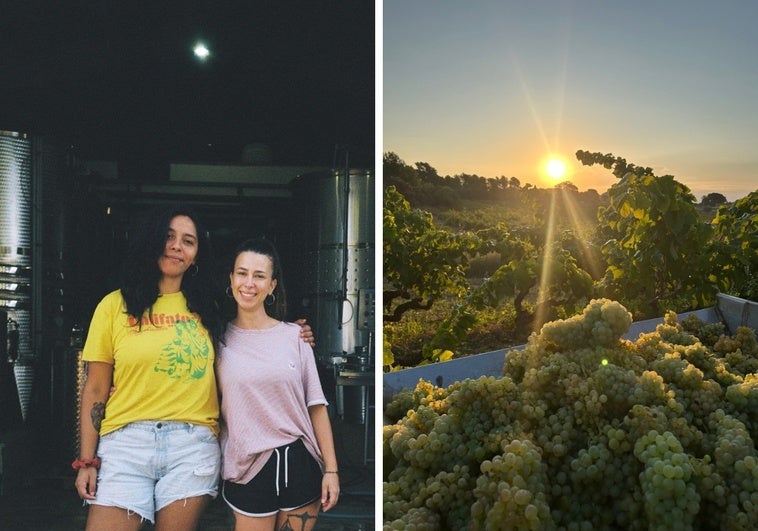 Las Amigas, el vino ancestral elaborado por dos jóvenes emprendedoras