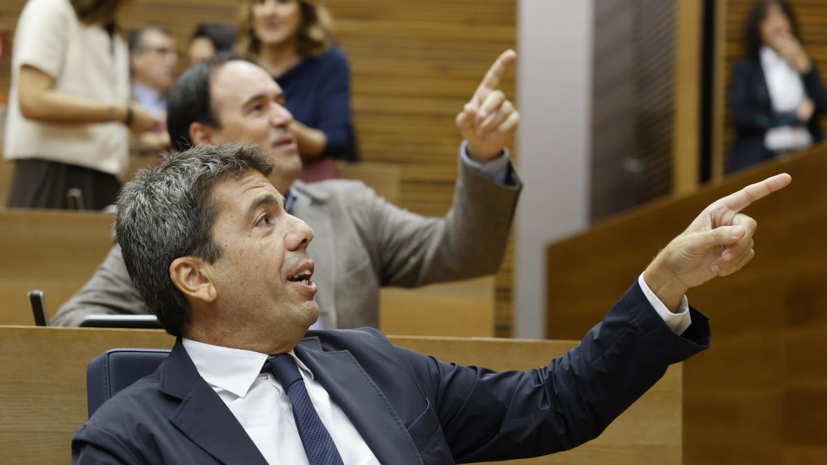 El raro cerebro de Mazón