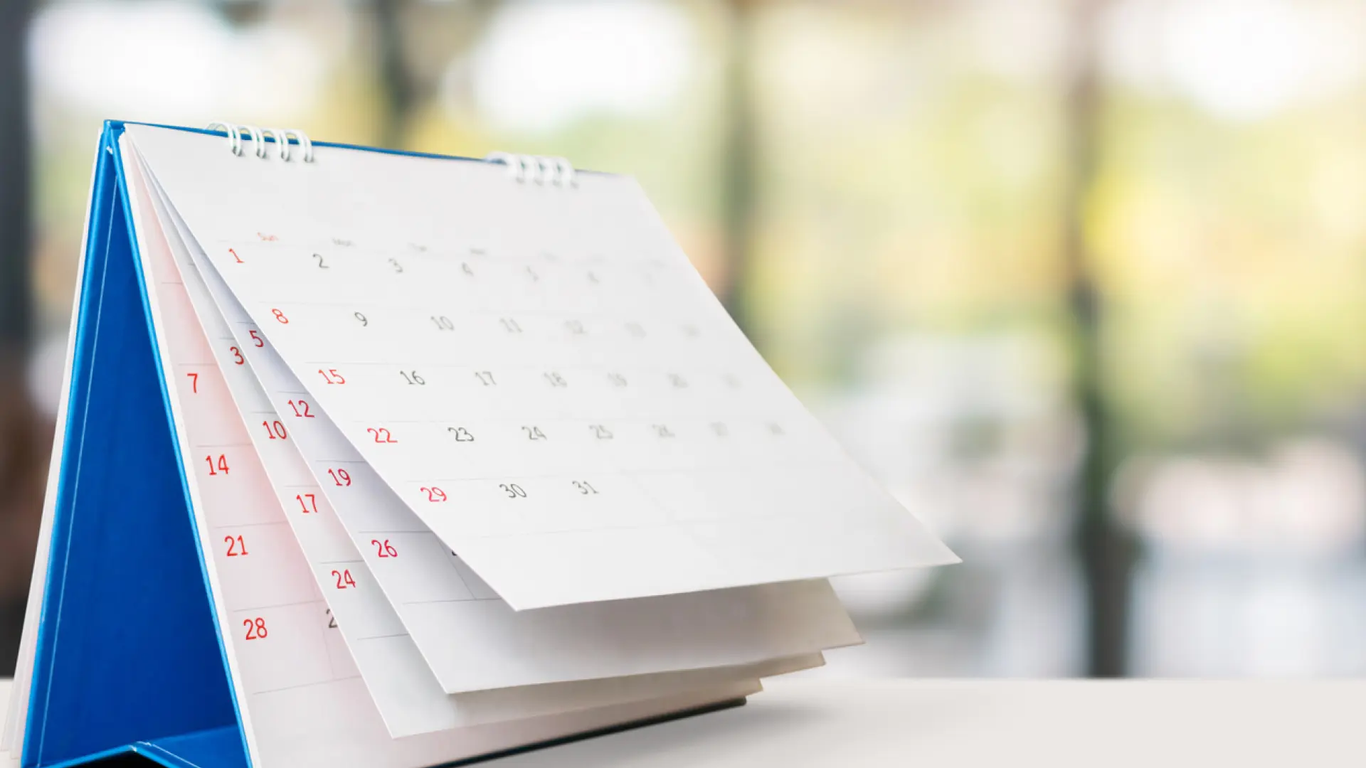 Dónde es festivo el lunes 3 de noviembre: las cuatro comunidades autónomas donde hay un puente de tres días