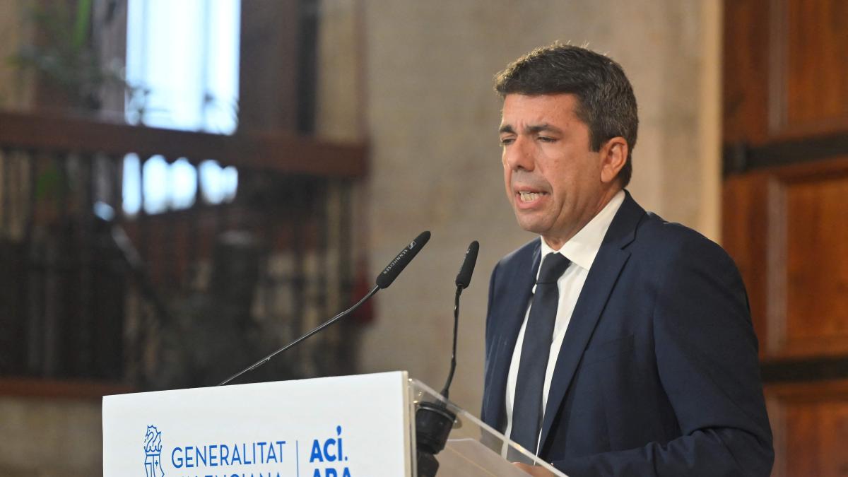 Reacciones a la dimisión de Carlos Mazón