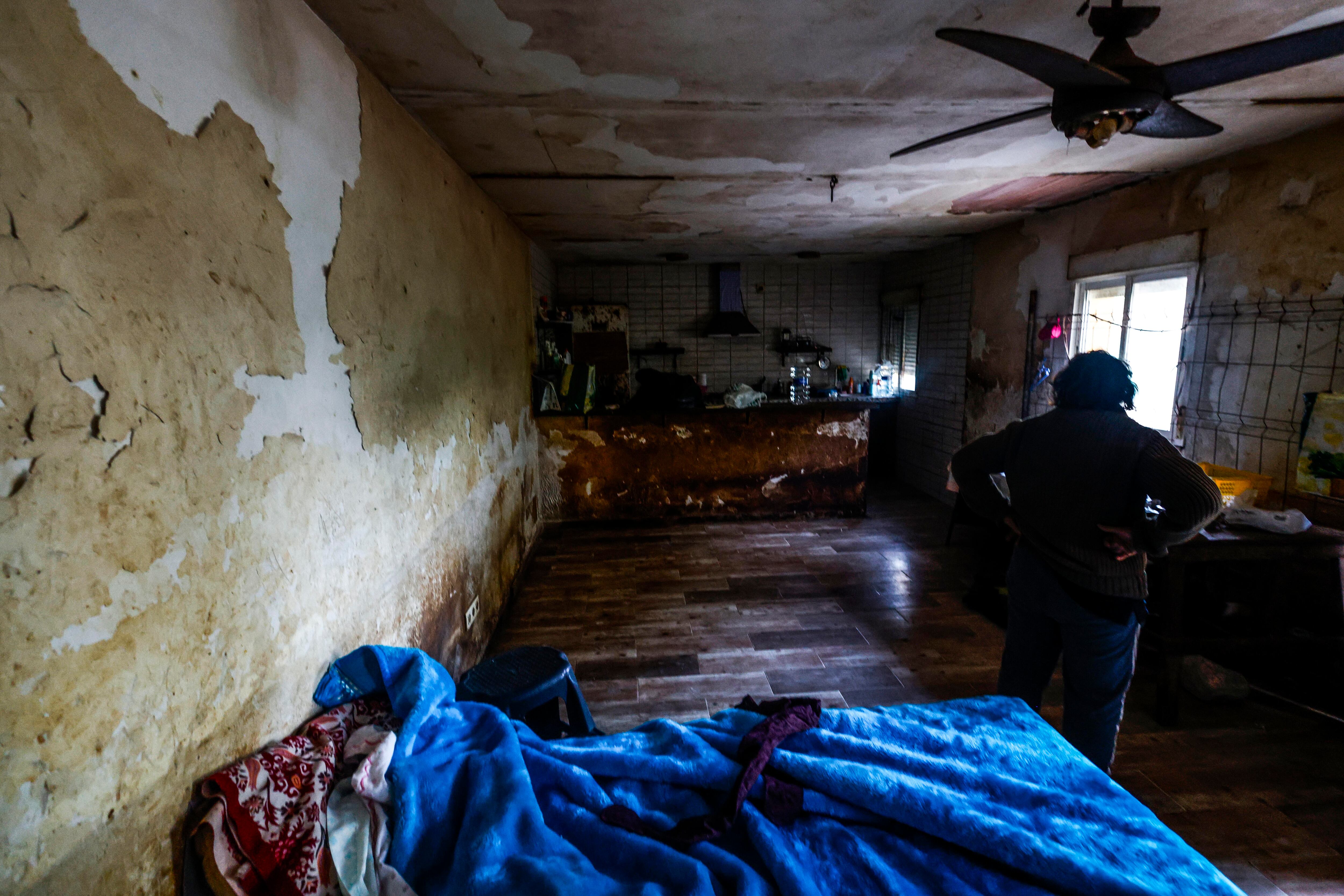 Una mujer encerrada con 52 perros: La sórdida historia detrás de la última operación del Seprona