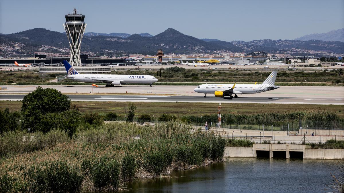 La Generalitat elige a la consultora que amplió el puerto de Rotterdam para El Prat