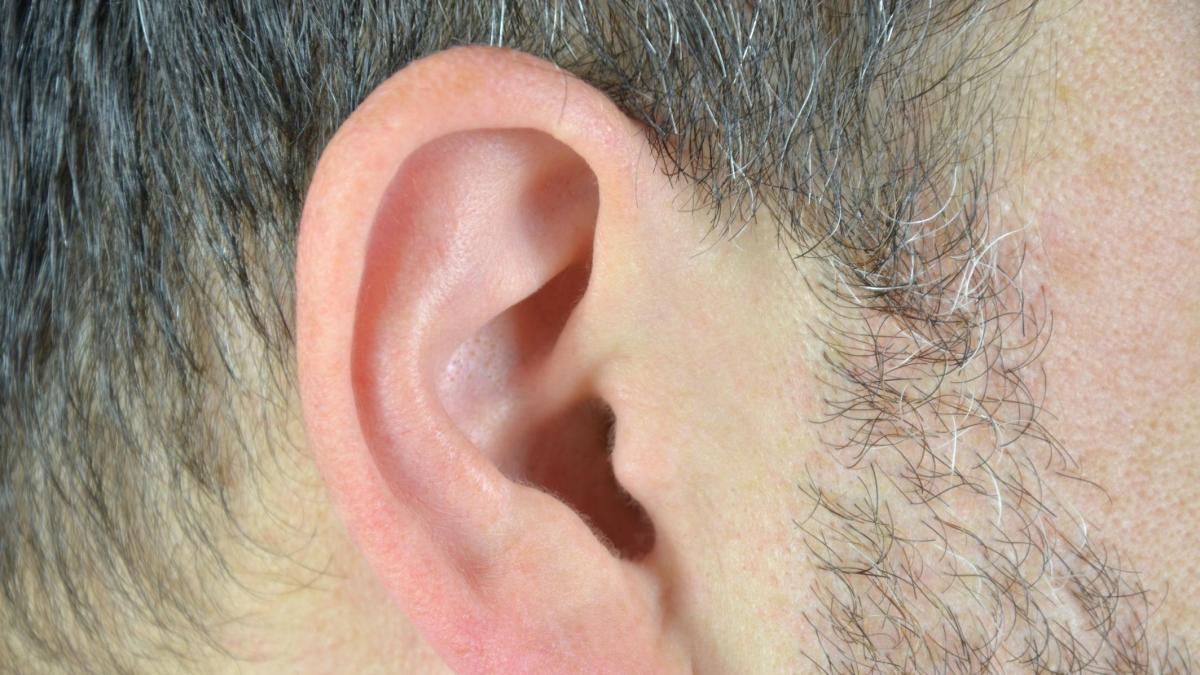 Identifican los mecanismos que provocan la pérdida de equilibrio en el oído interno