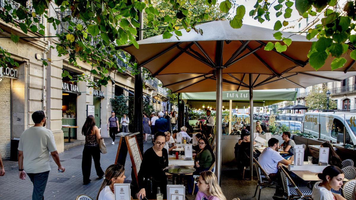 Shakespeare era fino