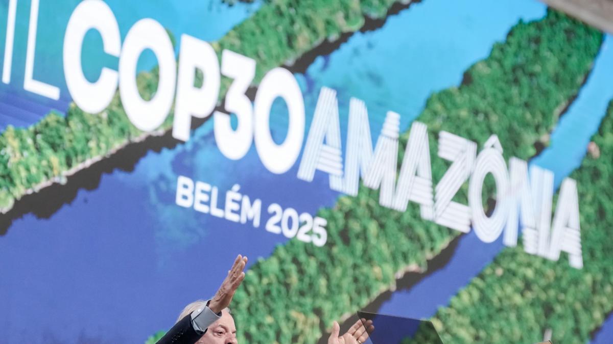 53 países lanzan el Fondo Bosques Tropicales para Siempre con 5.000 millones de inversión