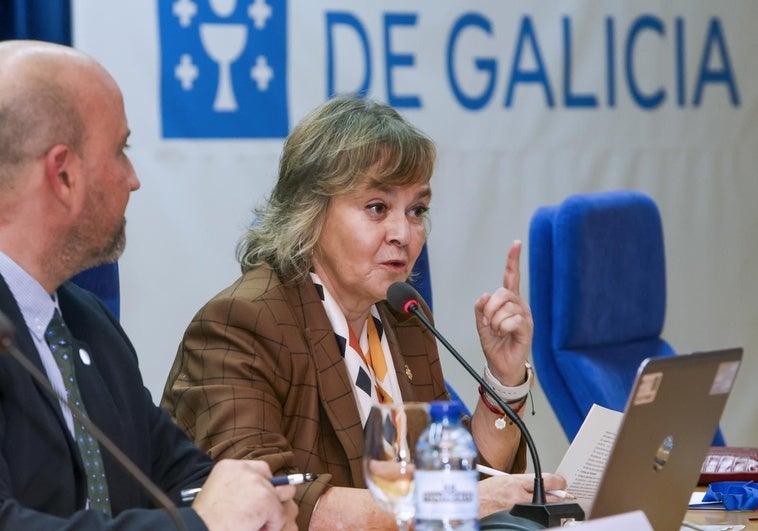 La fiscal jefa Antidroga de la Audiencia Nacional: «Hay que pensar en una reacción de Estado contra el crimen organizado»