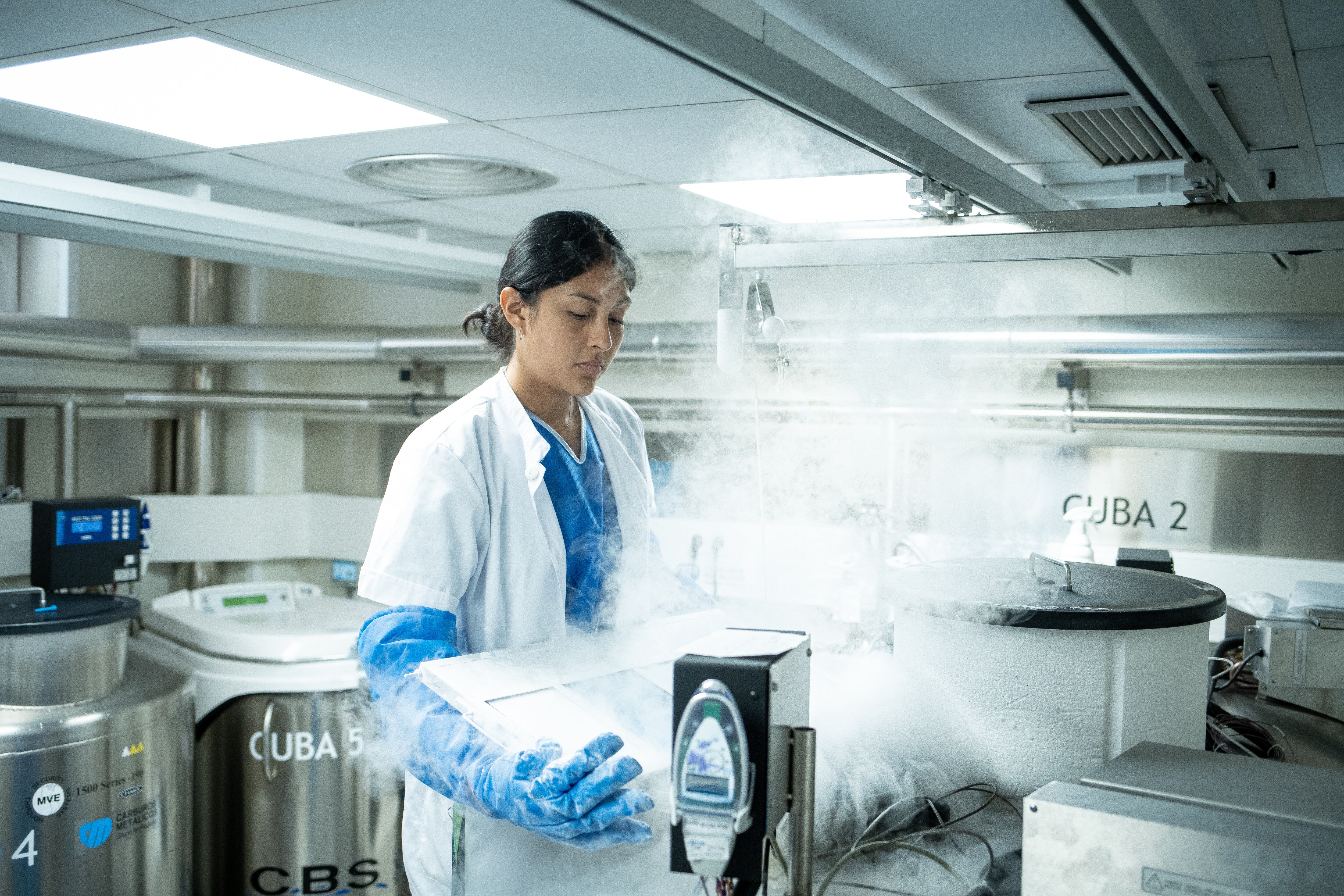 El empleo para profesionales cualificados aventaja de manera creciente a la hostelería