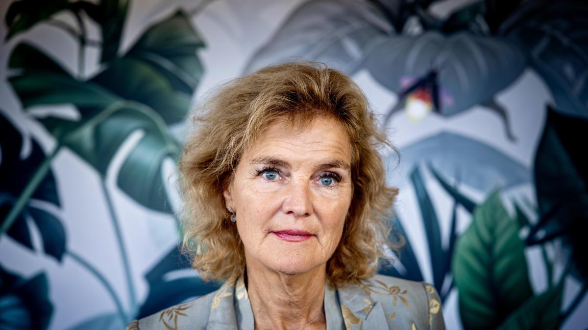 “Si no te obsesionas con lo que no tienes, la belleza se revela”