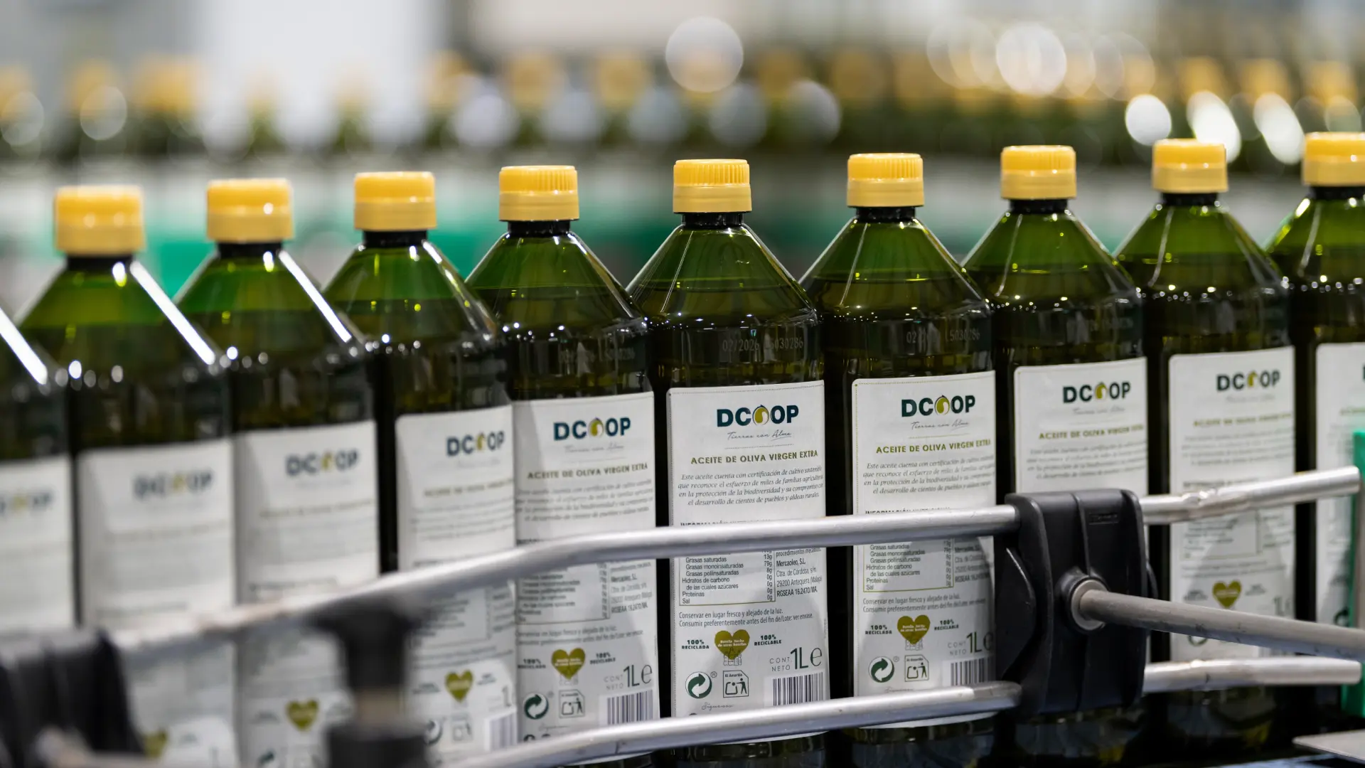 El mayor productor mundial de aceite de oliva apuesta por un precio de "equilibrio" de entre 3,5 y 4,5 euros por litro en el campo