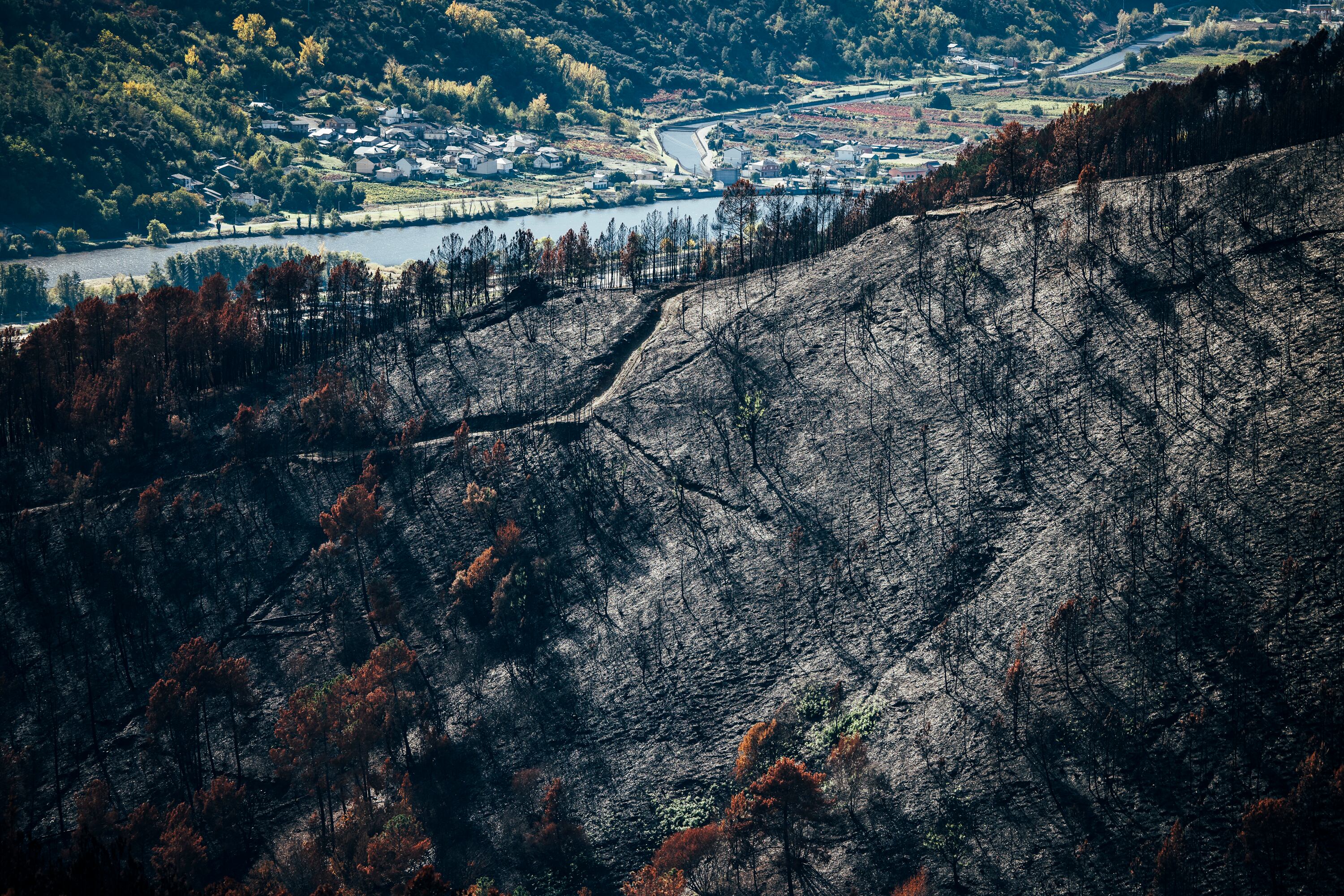 El chapapote de monte ya está aquí: las cenizas de los incendios de Ourense contaminan el agua