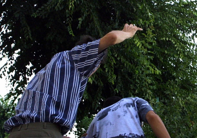 Marcas de pulgas, vómitos y encierros a oscuras: condenan a un padre por malos tratos continuados a sus dos hijos