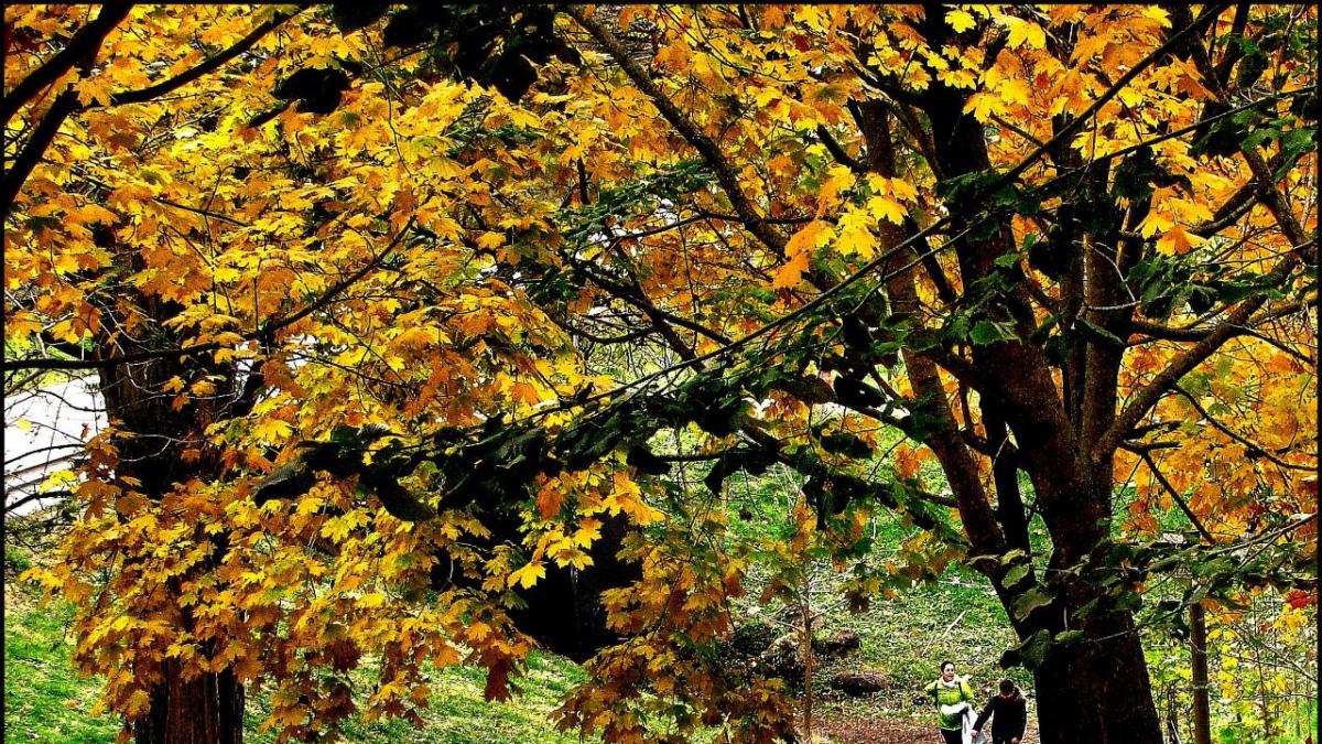 España, última clasificada en un ranking mundial de conexión con la Naturaleza